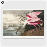 1-13_John-James-Audubon_picture-crop
