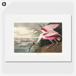 1-13_John-James-Audubon_picture