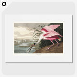 1-13_John-James-Audubon_picture