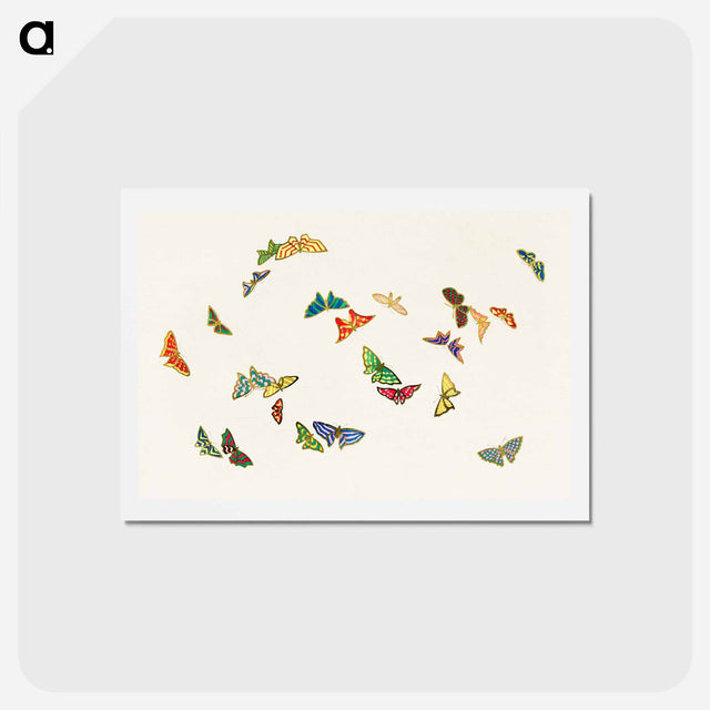 アートポストカード-Vintage butterfly - 神坂 雪佳 Postcard.