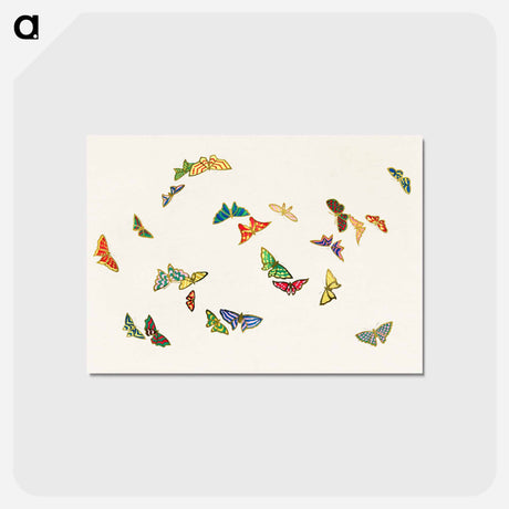 アートポストカード-Vintage butterfly - 神坂 雪佳 Postcard.