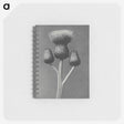 1-13_Karl-Blossfeldt_memo