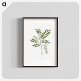 1-13_La-Botanique_blk