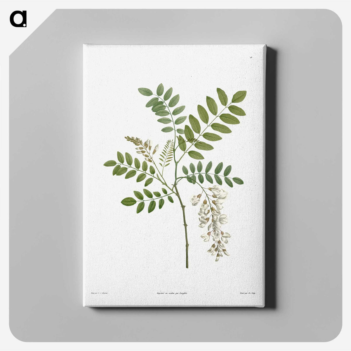 1-13_La-Botanique_canvas