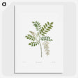 1-13_La-Botanique_picture