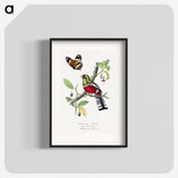 1-13_Le-Jardin-des-Plantes_blk