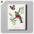 1-13_Le-Jardin-des-Plantes_canvas