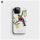 1-13_Le-Jardin-des-Plantes_phone