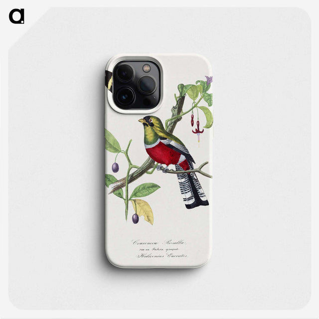 1-13_Le-Jardin-des-Plantes_phone