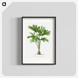 1-13_Les-Palmiers-Histoire-Iconographique_blk