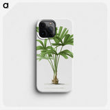 1-13_Les-Palmiers-Histoire-Iconographique_phone
