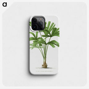 1-13_Les-Palmiers-Histoire-Iconographique_phone