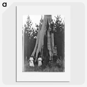 1-13_Leslie-Adkin_picture