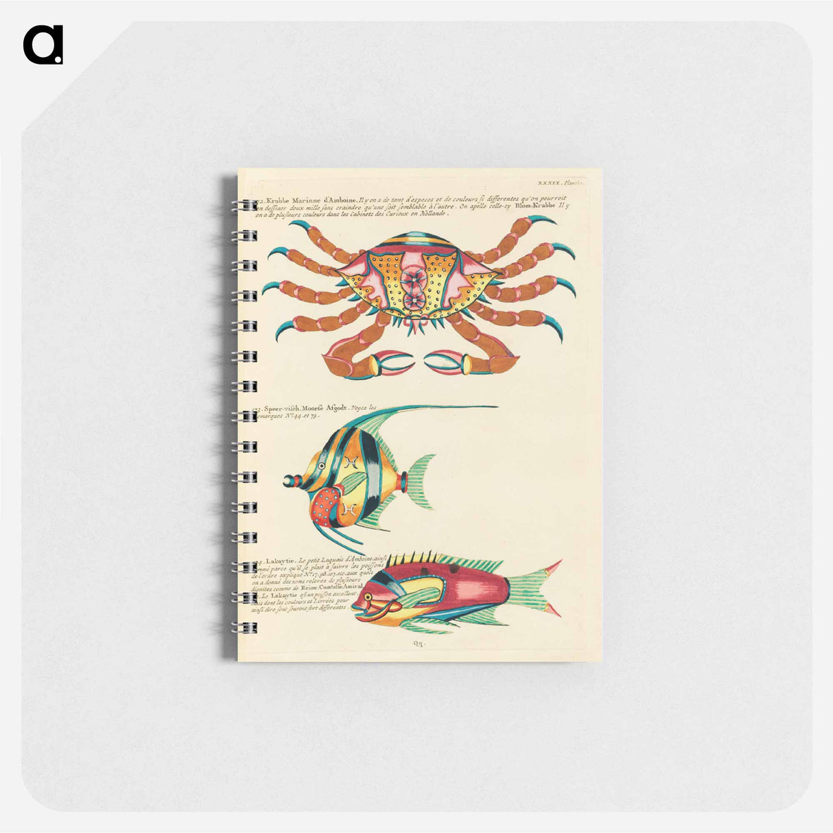 Indian and Pacific Ocean Creatures
 - ルイ ルナール Memo.
