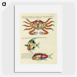 1-13_Louis-Renard_picture