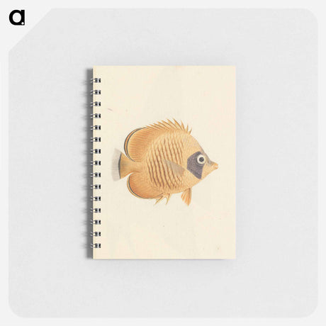 アートメモ帳-Unidentified Fish
 - ルイージ バルガーニ Memo.