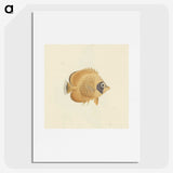 1-13_Luigi-Balugani_picture