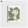 1-13_Mark-Catesby_memo