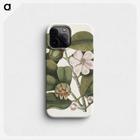 1-13_Mark-Catesby_phone