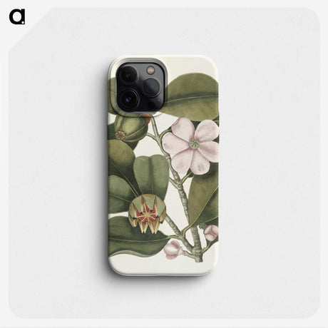 1-13_Mark-Catesby_phone