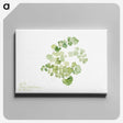 1-13_Mary-Vaux-Walcott_canvas