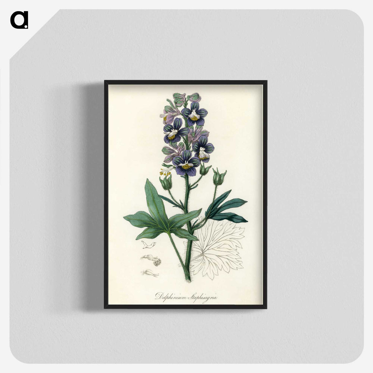 1-13_Medical-Botany_blk-crop