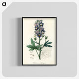 1-13_Medical-Botany_blk-crop