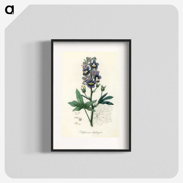 1-13_Medical-Botany_blk