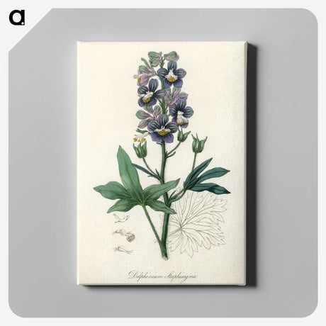 1-13_Medical-Botany_canvas