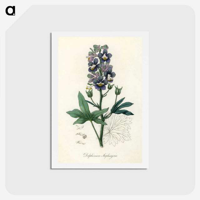 1-13_Medical-Botany_hagaki