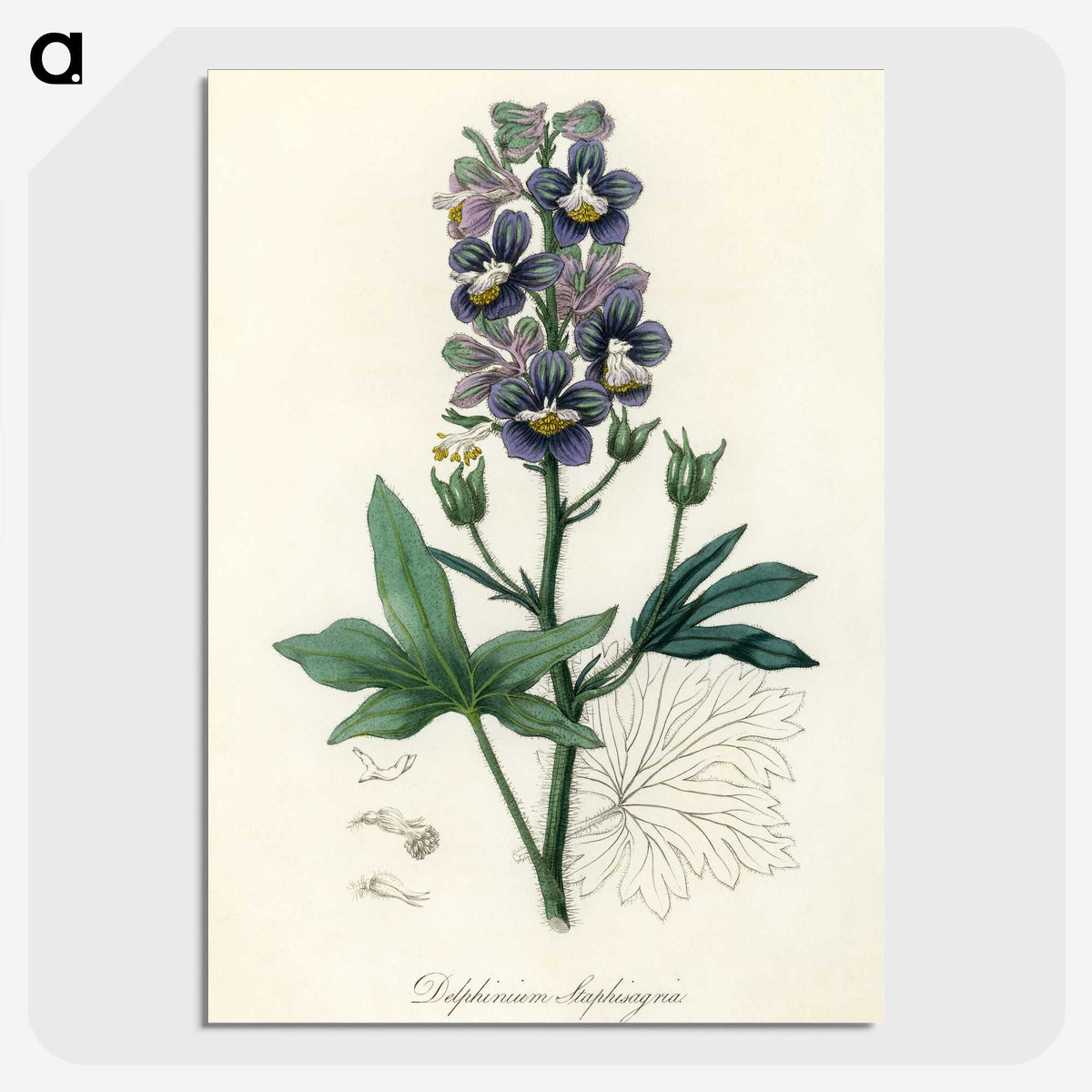 1-13_Medical-Botany_picture-crop