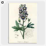 1-13_Medical-Botany_picture-crop