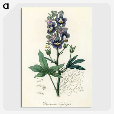1-13_Medical-Botany_picture-crop