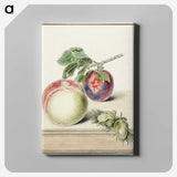 1-13_Michiel-van-Huysum_canvas