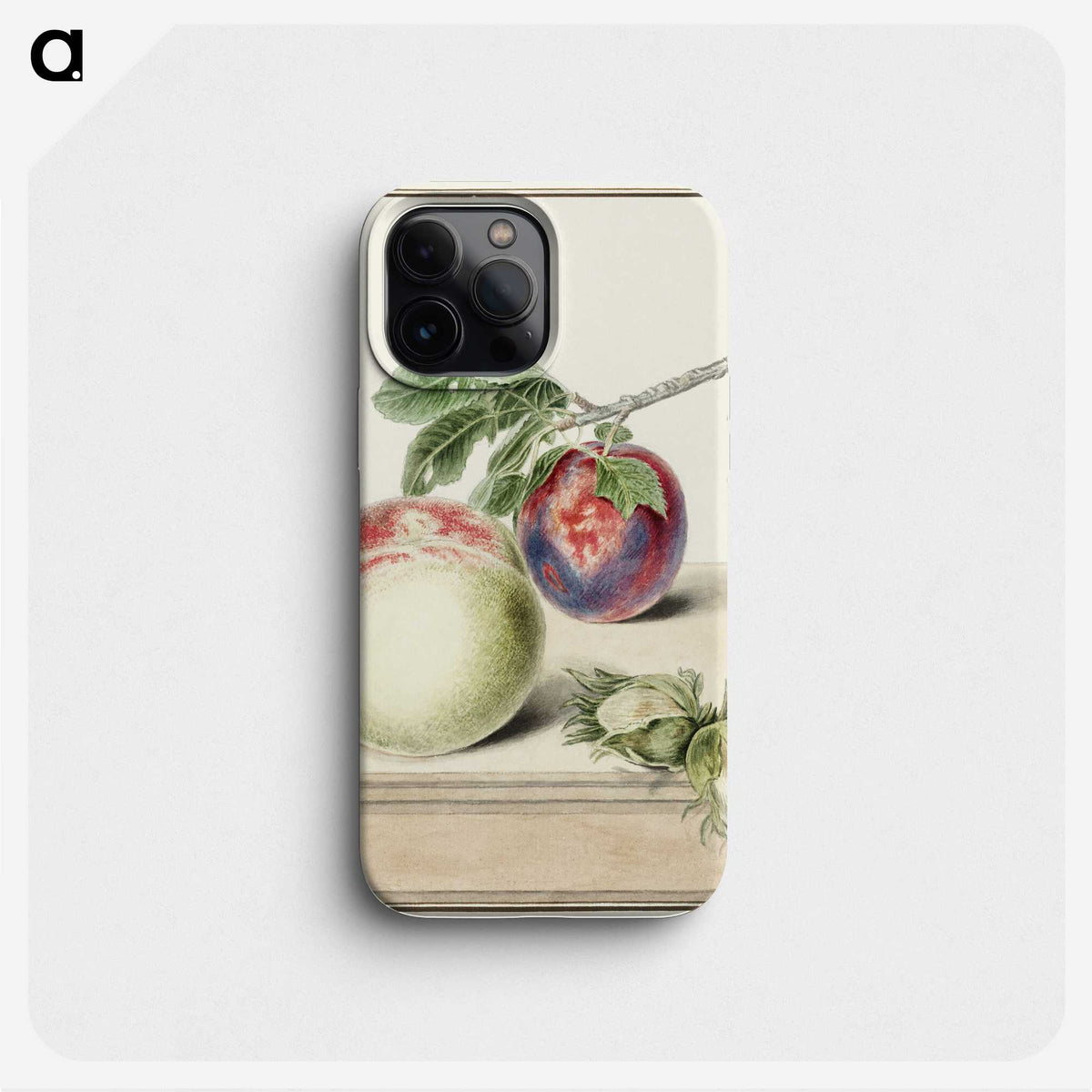 1-13_Michiel-van-Huysum_phone