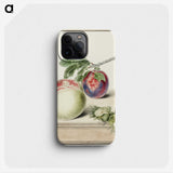 1-13_Michiel-van-Huysum_phone