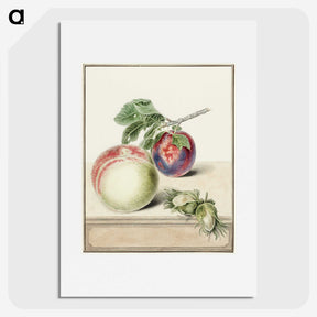 1-13_Michiel-van-Huysum_picture