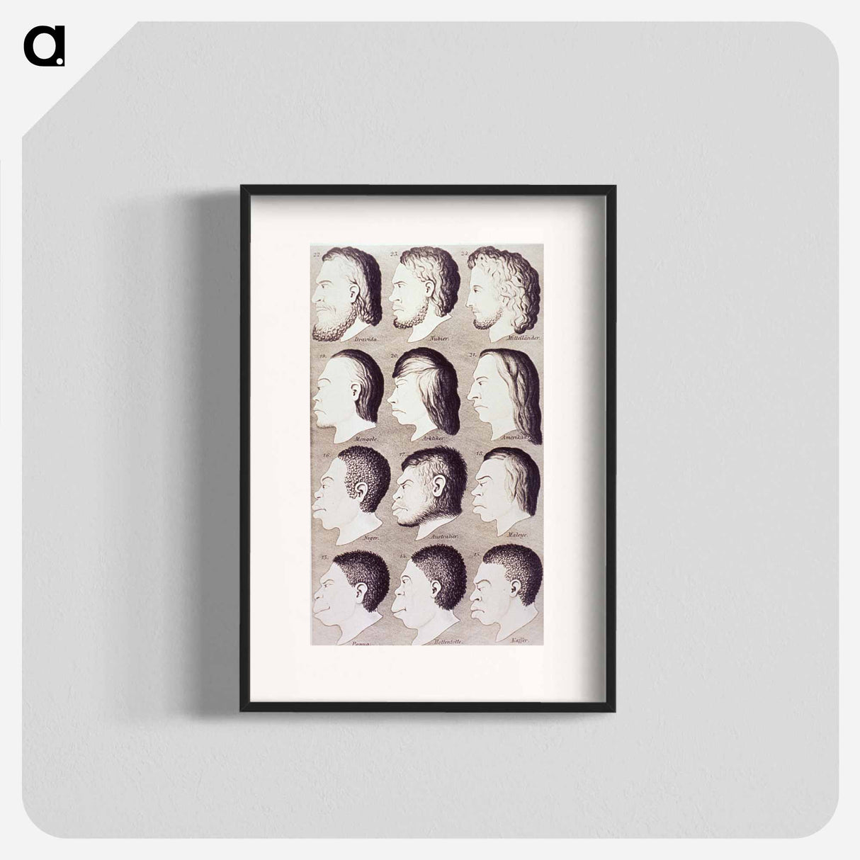 アートポスター-Evolution of Facial Features
 - 国立医学図書館 Poster.