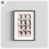 アートポスター-Evolution of Facial Features
 - 国立医学図書館 Poster.