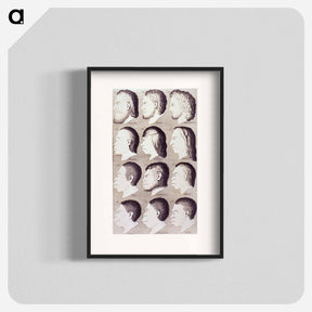 アートポスター-Evolution of Facial Features
 - 国立医学図書館 Poster.