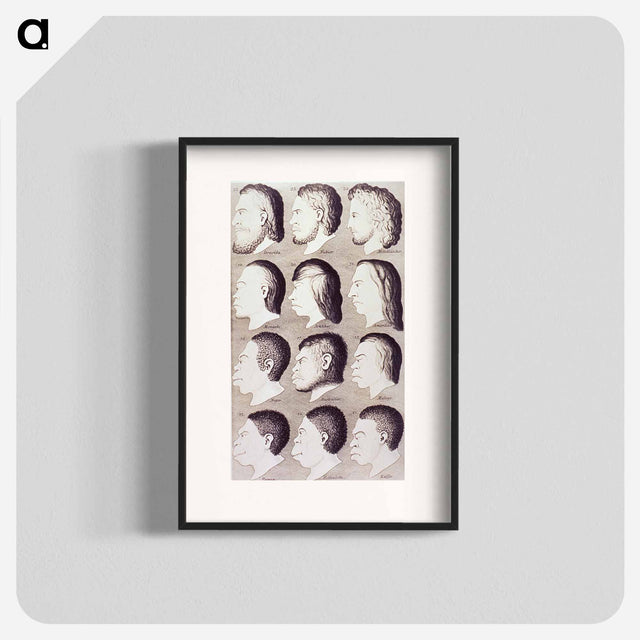 アートポスター-Evolution of Facial Features
 - 国立医学図書館 Poster.