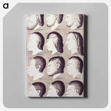 アートパネル-Evolution of Facial Features
 - 国立医学図書館 Canvas.