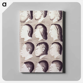 アートパネル-Evolution of Facial Features
 - 国立医学図書館 Canvas.