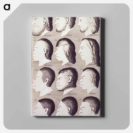 アートパネル-Evolution of Facial Features
 - 国立医学図書館 Canvas.