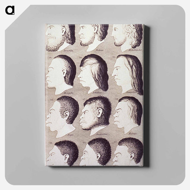 アートパネル-Evolution of Facial Features
 - 国立医学図書館 Canvas.