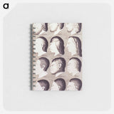 アートメモ帳-Evolution of Facial Features
 - 国立医学図書館 Memo.