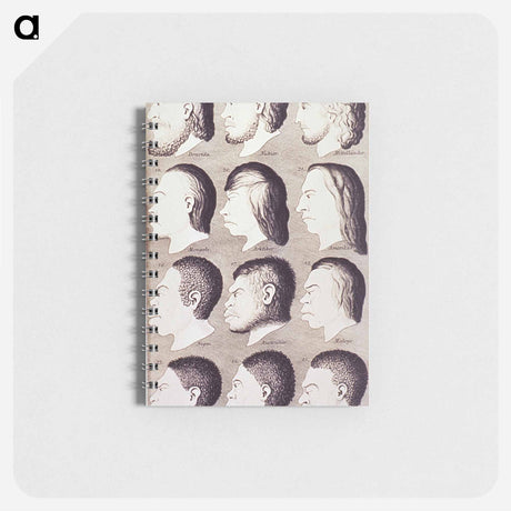アートメモ帳-Evolution of Facial Features
 - 国立医学図書館 Memo.