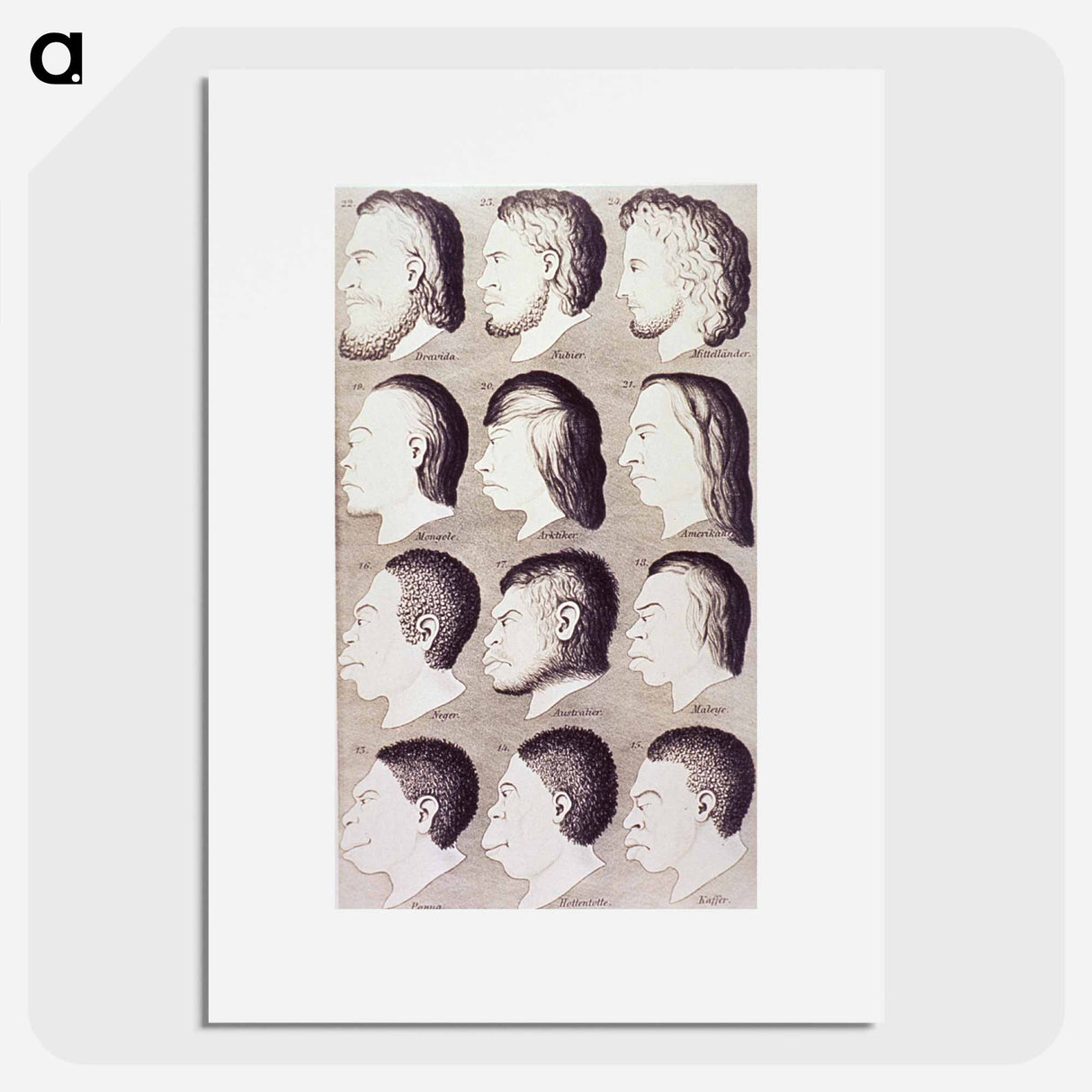 アートポスター-Evolution of Facial Features
 - 国立医学図書館 Poster.