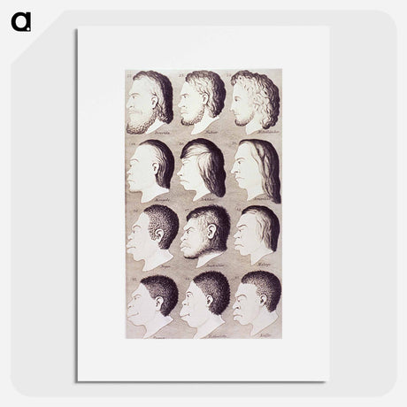 アートポスター-Evolution of Facial Features
 - 国立医学図書館 Poster.