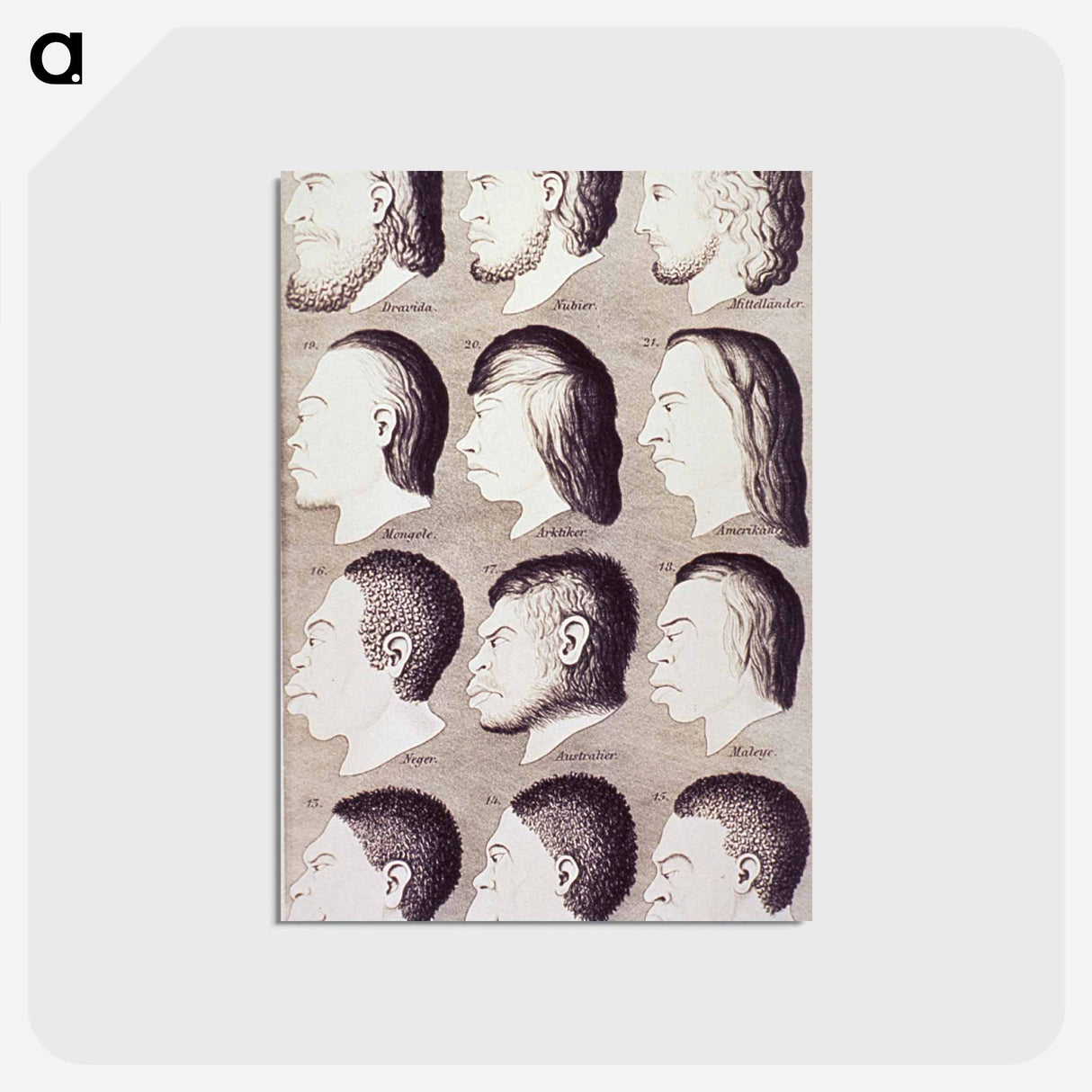 アートポストカード-Evolution of Facial Features
 - 国立医学図書館 Postcard.